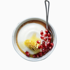 纯天然冬虫夏草药材