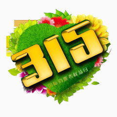 315图标