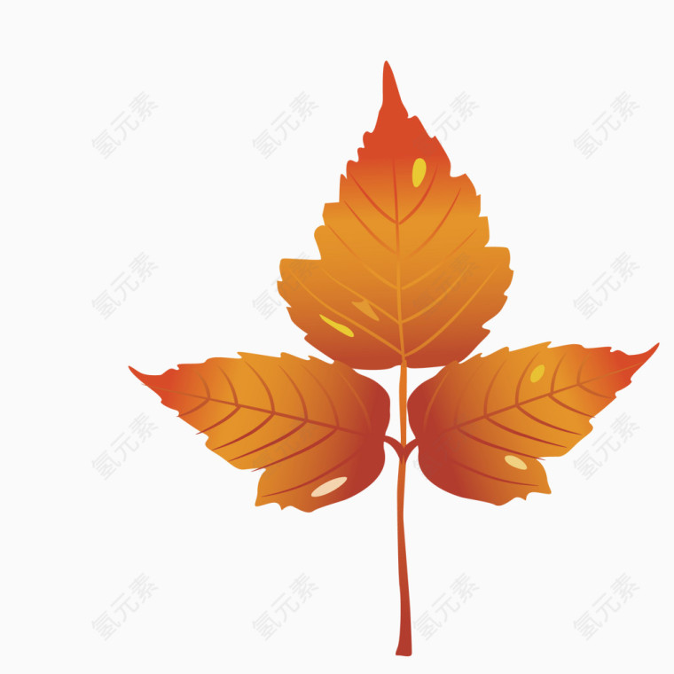 秋天叶片