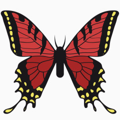 卡通红棕蝴蝶