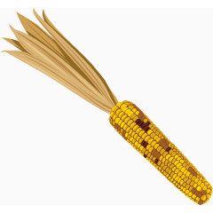 玉米