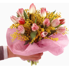 手拿含羞草花朵花束