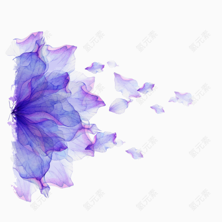 各种花卉的花瓣
