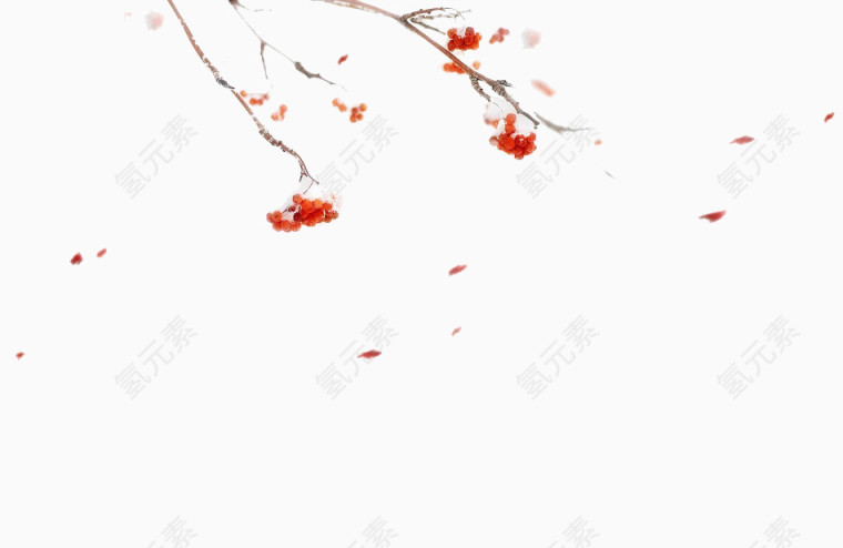 古典风梅花