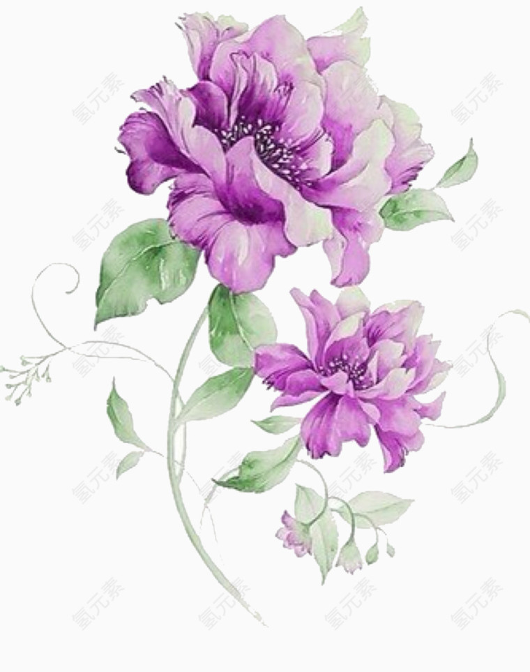 卡通牡丹花