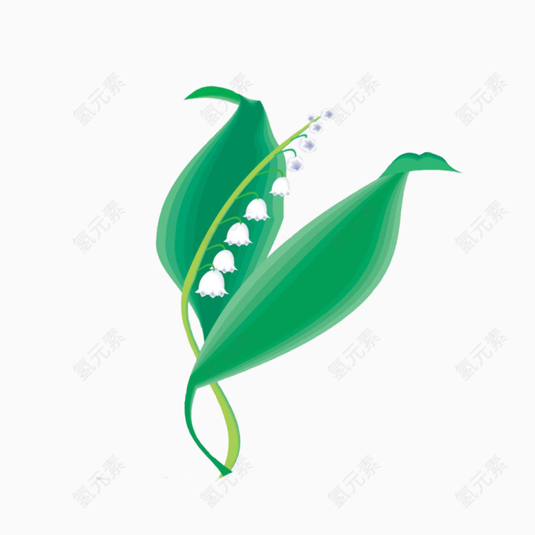 精美花卉