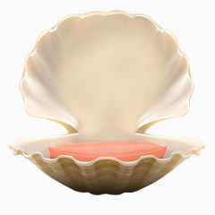 沙滩上的大贝壳