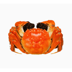 蟹