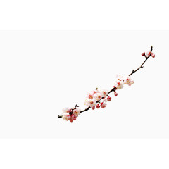 微软办公室 d卡通图标