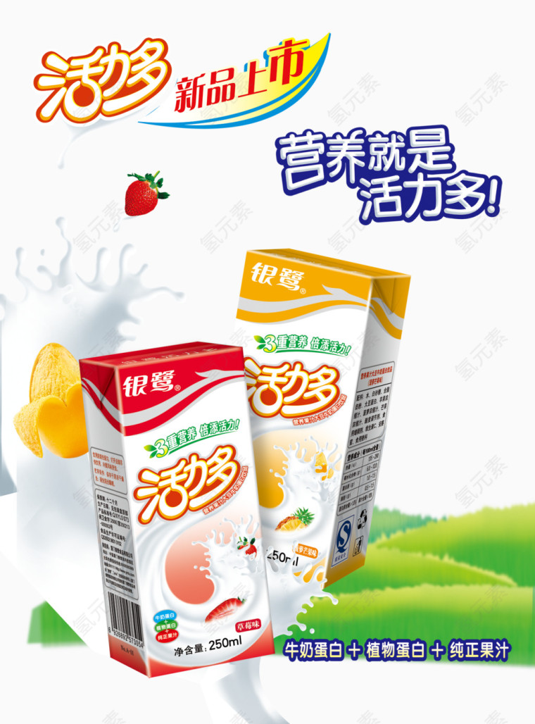 银鹭活力多