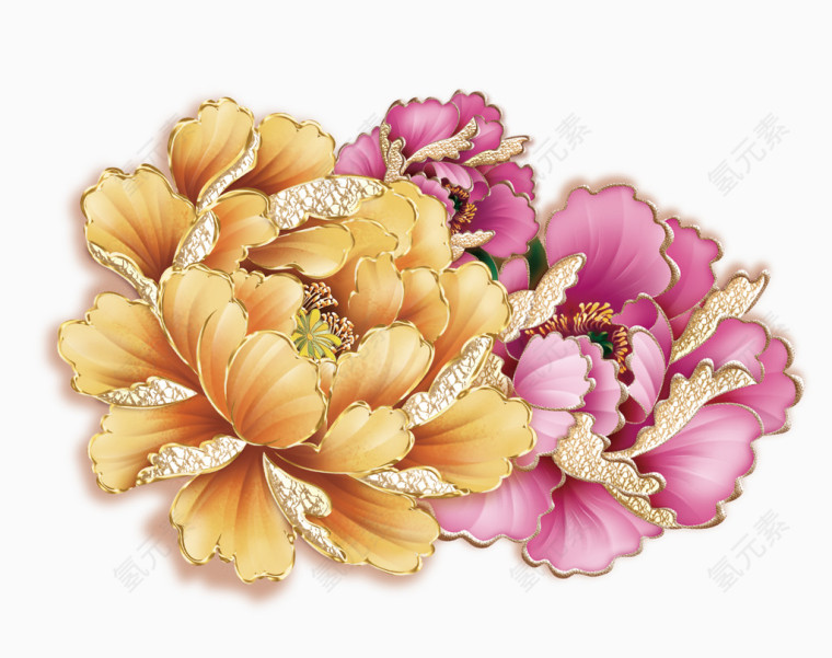 牡丹花