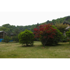 湖北武汉风景四