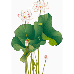 彩色水墨中国风荷花