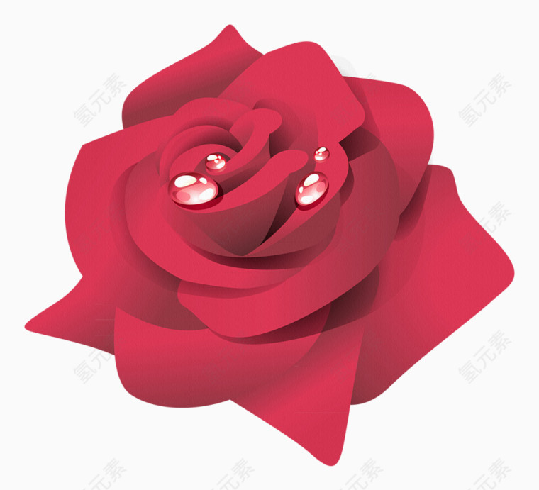 玫瑰花