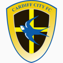 卡迪夫城市English-Football-Club-icons