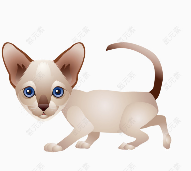 溜走的小猫