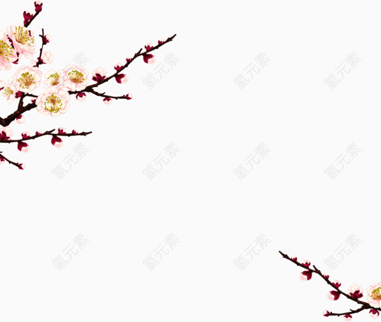 枝头梅花