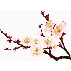 中国风一枝花梅花