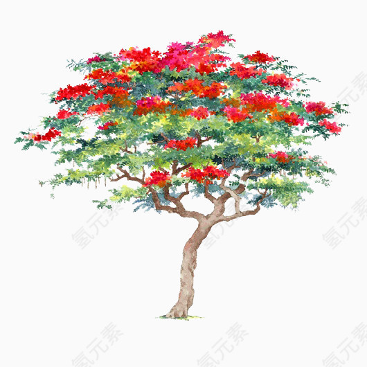 卡通树木图片树木元素