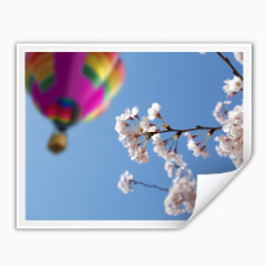 mimetype大多应用x图标