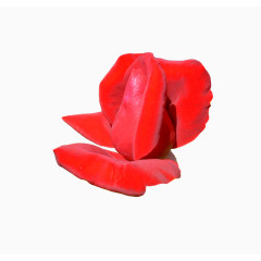 花朵素材鲜花相框素材