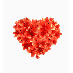 心形红色花朵图案