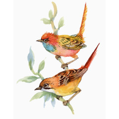 水墨水彩站在树枝上的两只小鸟