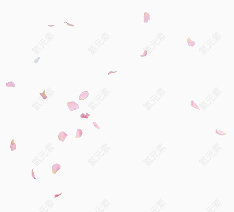 粉色花瓣高清png素材
