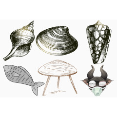 手绘海贝动物素材