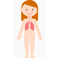 女子人体系统