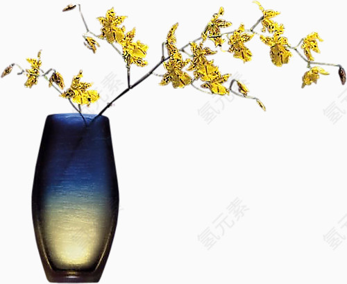 花草图片素材装饰图案