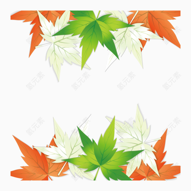 五彩缤纷枫叶