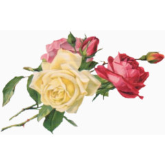 装饰素材卡通装饰图片