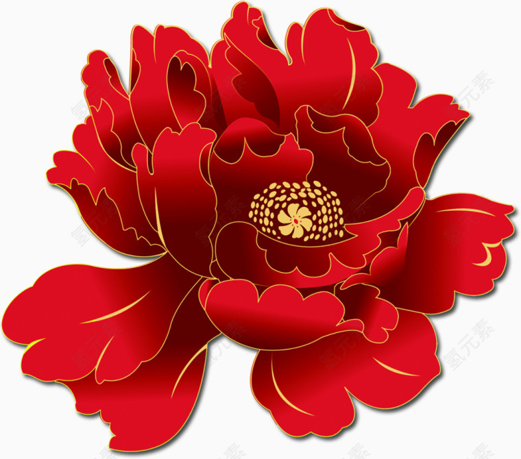 中国红牡丹花
