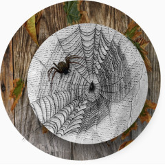装饰蜘蛛网