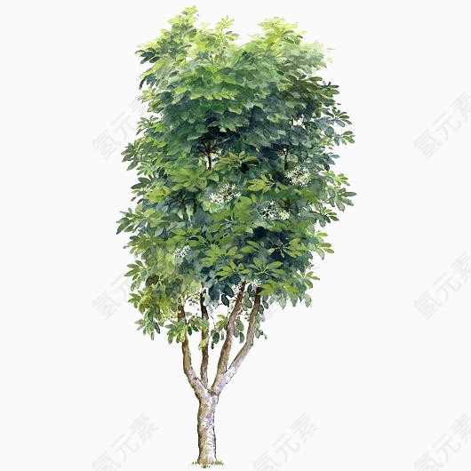 手绘树木素材树木背景元素