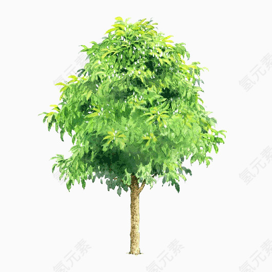 绿色树木元素透明树木素材
