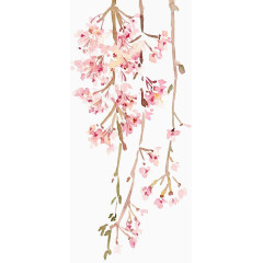 小清新文艺水彩手绘藤条花藤花朵