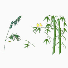 青竹