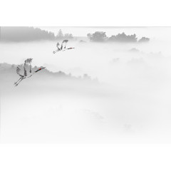 鸟山
