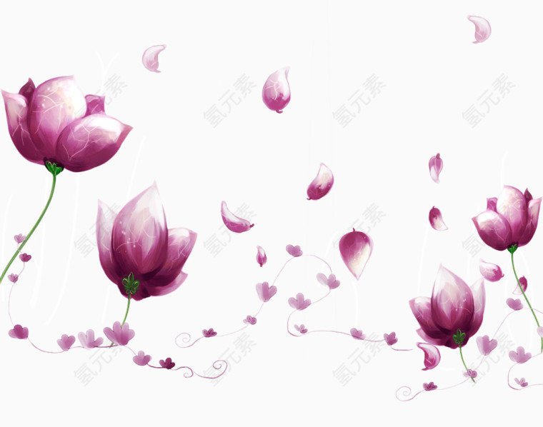 韩式飞翔的花瓣中额康乃馨 