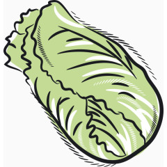 卡通蔬菜白菜素材