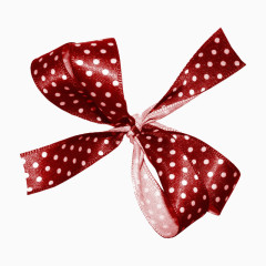 酒红色白点蝴蝶结实拍