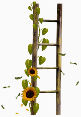 花树叶和木梯卡通手绘