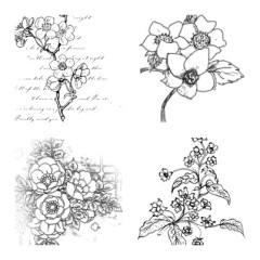 素描花朵装饰效果