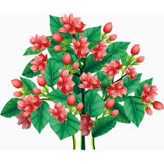 花树