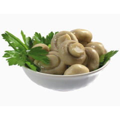蘑菇