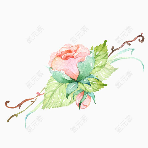 手绘植物  粉色水粉花朵  粉色花朵