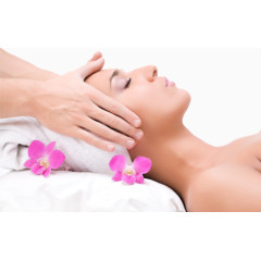 女性SPA图片素材