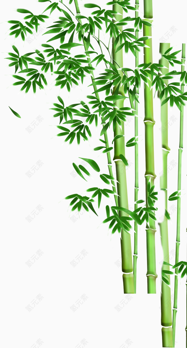 竹叶竹竿